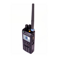 Motorola Solutions MTP3250 Guia Del Usuario