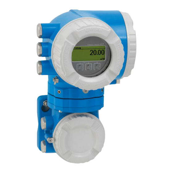 Endress+Hauser Proline Promag H 500 Manual De Instrucciones