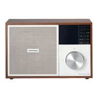 Grundig WTR 3000 BT Manual De Instrucciones