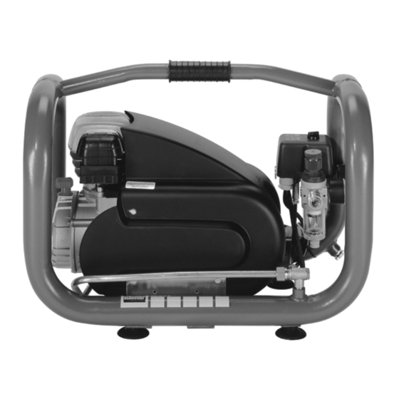 Schneider Airsystems CompactMaster 212-10-2 W Manual De Instrucciones