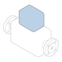 Endress+Hauser Proline 300 FOUNDATION Fieldbus Manual De Instrucciones
