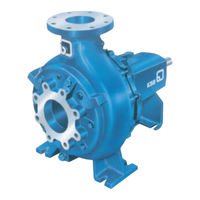 KSB MEGAFLOW Manual De Servicio