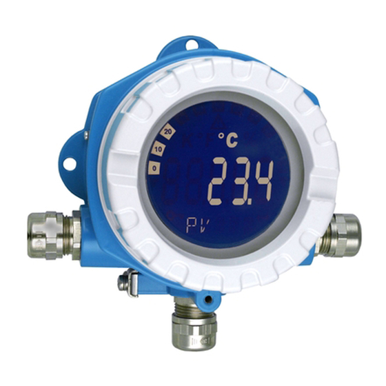 Endress+Hauser TMT142 Manual De Instrucciones