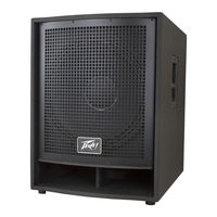 Peavey QW 118P Manual Del Usuario