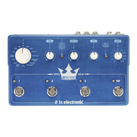 TC Electronic Flashback Triple Delay Instrucciones Importantes De Seguridad