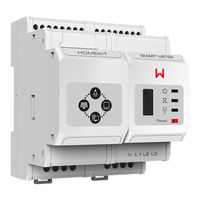 Goodwe HK3000 Manual Del Usuario