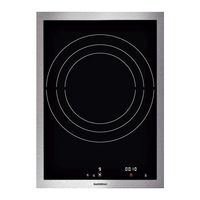 Gaggenau VI 414 Instrucciones De Uso