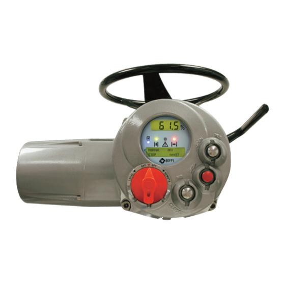 Pentair BIFFI ICON 2000 Manual De Instrucciones Y Operación