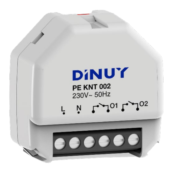 DINUY PE KNT 002 Manual De Instrucciones