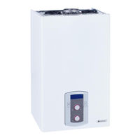 CHAFFOTEAUX NIAGARA C Green 35 Instrucciones De Instalación Y De Utilización