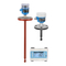 Endress+Hauser Liquiphant FTL62 Density