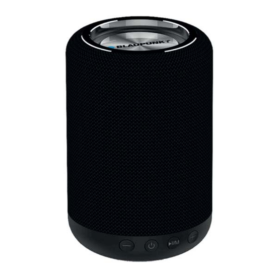 Blaupunkt BLP3834-002 Modo De Empleo