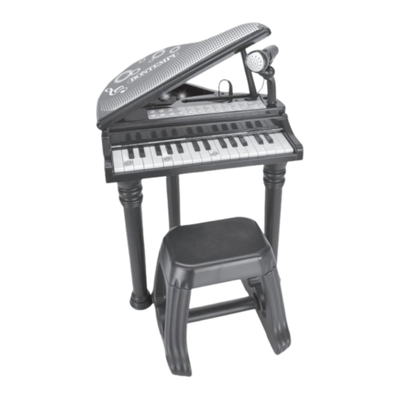 Bontempi Toy Band Star Libro De Instrucciones