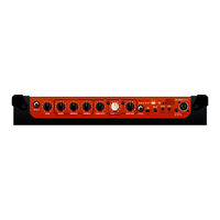 TC Electronic BG250 Manual De Instrucciones