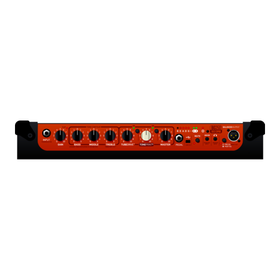 TC Electronic BG250 Manual De Instrucciones