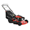 Cortacéspedes Powersmart DB9422SR Manual De Instrucciones