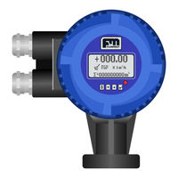 Flowmeet FM-200E Serie Manual De Usuario