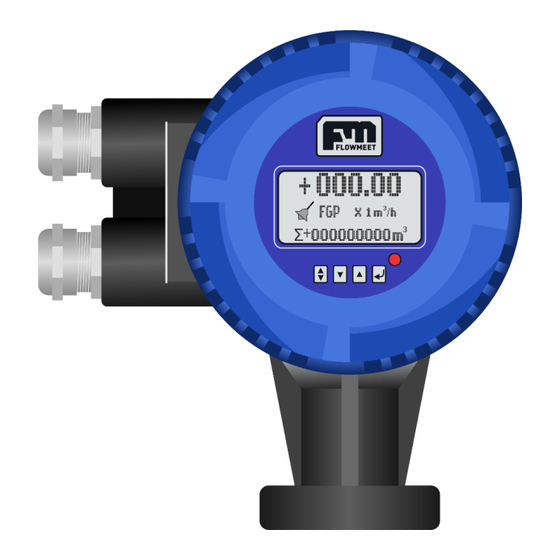 Flowmeet FM-200E Serie Manual De Usuario