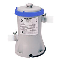 Bestway FLOWCLEAR 58383 Manual De Instrucciones