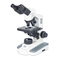 Microscopios Motic B3 Serie Manual De Instrucciones