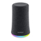 Manual de Anker Soundcore Flare Mini