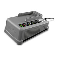 Kärcher Battery Power+ Fast Charger 18/60 Manual De Instrucciones