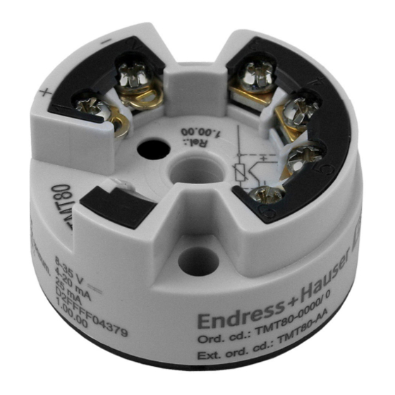 Endress+Hauser iTEMP TMT80 Manual De Instrucciones