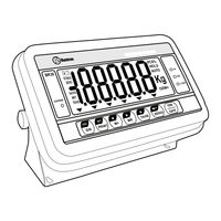 Baxtran BR20 Manual De Usuario