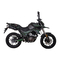 Motocicletas RVM TEKKEN 250 2021 Manual Del Usuario