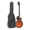 Fesley FLP350 - Manual de la guitarra eléctrica