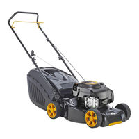 McCulloch M53-160WRPXV Manual De Usuario