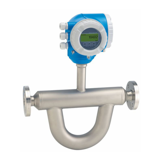 Endress+Hauser Proline Promass Q 300 Manual De Instrucciones