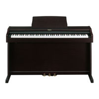 Roland RP101 Manual Del Usuario