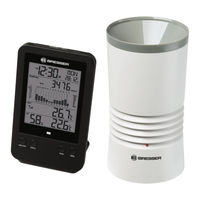 Bresser Professional Rain Gauge Manual De Instrucciones