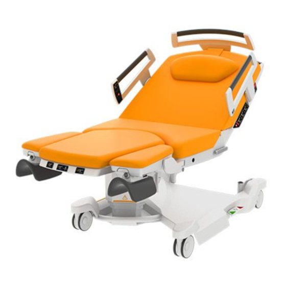 BORCAD Medical AVE 2 Manual De Uso