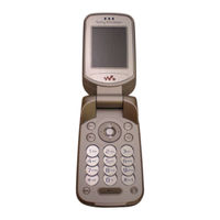 Sony Ericsson W300i Manual De Instrucciones