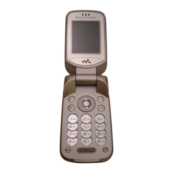 Sony Ericsson W300i Manual De Instrucciones
