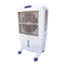 Acondicionadores de Aire Dantherm Master BC 80 Manual De Instrucciones