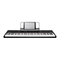 Alesis Recital - Manual del piano digital