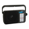 Radio Daewoo DRP-123 Manual De Instrucciones