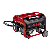 EINHELL TC-PG 3500 W Manual De Instrucciones