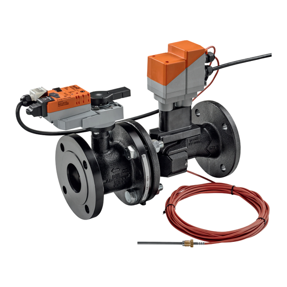 Belimo EV065F+BAC Ficha Técnica