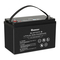Renogy RBT100LFP12-BT - Manual de FOSFATO DE HIERRO Y LITIO