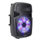 Altavoces Party Light & Sound PARTY-15PACK Manual De Instrucciones
