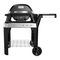 Weber PULSE 2000
