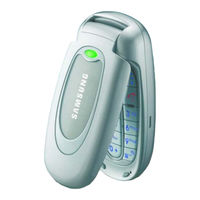 Samsung SGH-X480 Manual Del Usuario