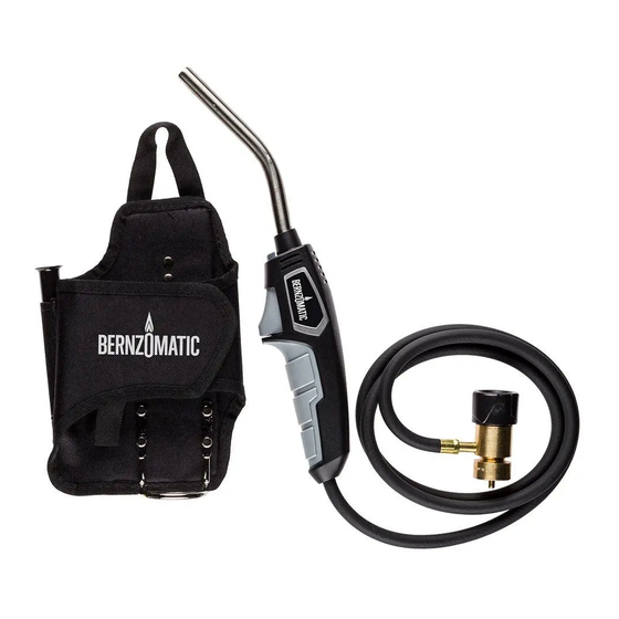 Bernzomatic BZ8250HT Manual De Instrucciones