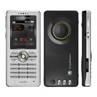 Sony Ericsson R300 Guia Del Usuario