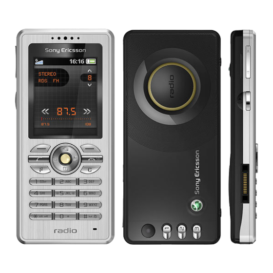 Sony Ericsson R300 Guia Del Usuario