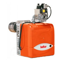 baltur BTG 11P Manual De Instrucciones